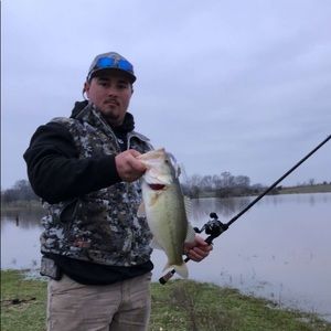 Meet your Posher, Chase